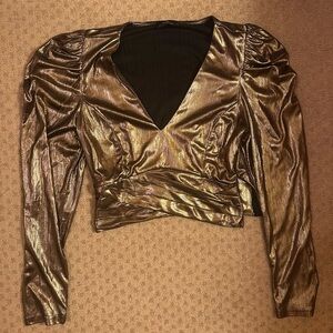 Metallic V-Neck Long Sleeve Blouse